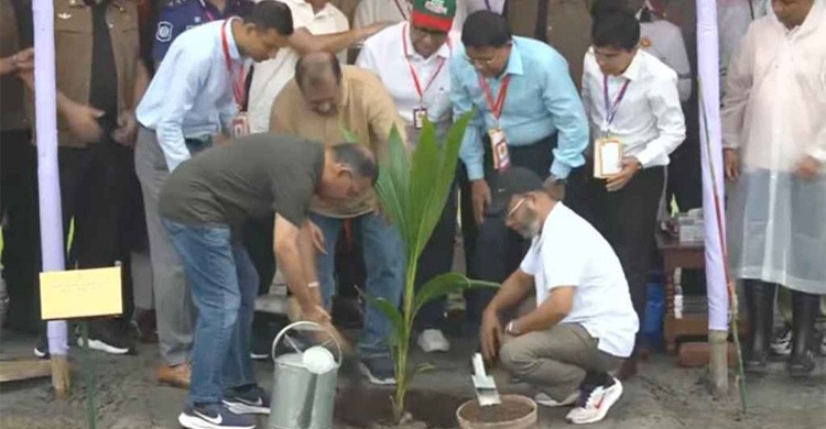 আগামী পাঁচ বছরে সারাদেশে ২৫ কোটি গাছ লাগানোর ঘোষণা প্রধানমন্ত্রীর