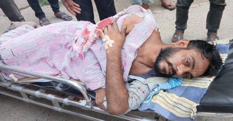 সাতক্ষীরার কালিগঞ্জ সীমান্তে বিএসএফের গুলিতে দুই বাংলাদেশি আহত
