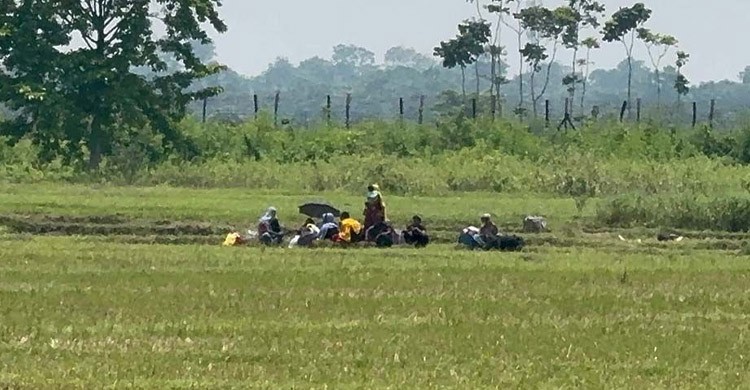 বেনাপোল সীমান্তের শূন্যরেখায় ১০ নারী-পুরুষ ও শিশুর মানবেতর জীবন