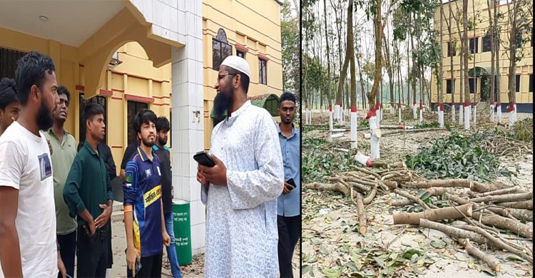 বন্ধ ক্যাম্পাসে বেরোবি প্রশাসনের গাছ কাটার হিড়িক, শিক্ষার্থীদের তোপের মুখে স্থগিত