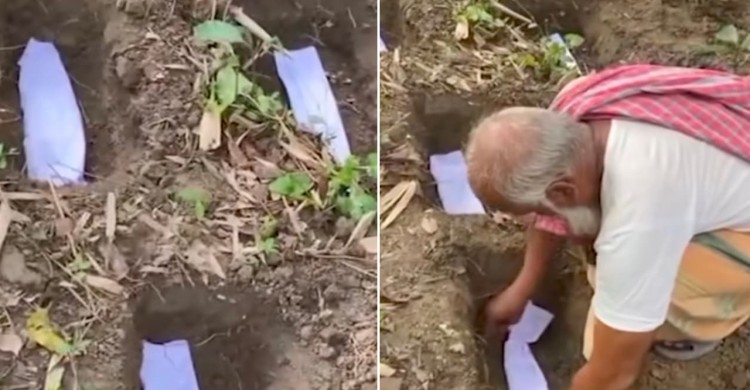নড়াইলে বিয়ের ১০ বছর পর একসঙ্গে ৭ সন্তানের জন্ম, বেঁচে নেই কেউ