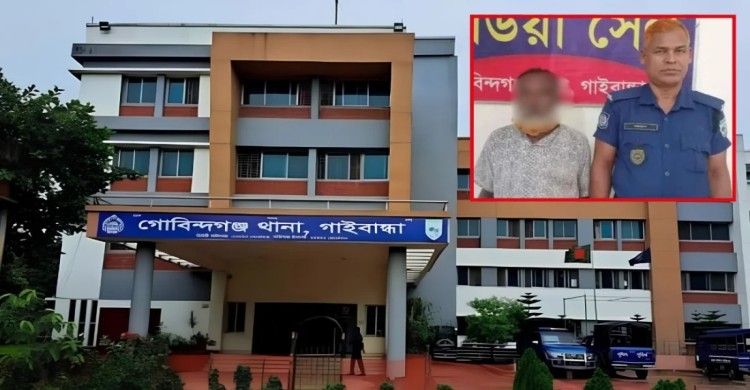 চুরি যাওয়া গরু জবাই করে বৌভাতের আয়োজন, বরের বাবা গ্রেপ্তার