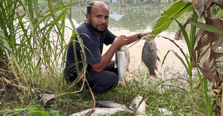 চাঁদা না পেয়ে প্রবাসীর মাছের ঘেরে বিষ, বিএনপি নেতা গ্রেপ্তার