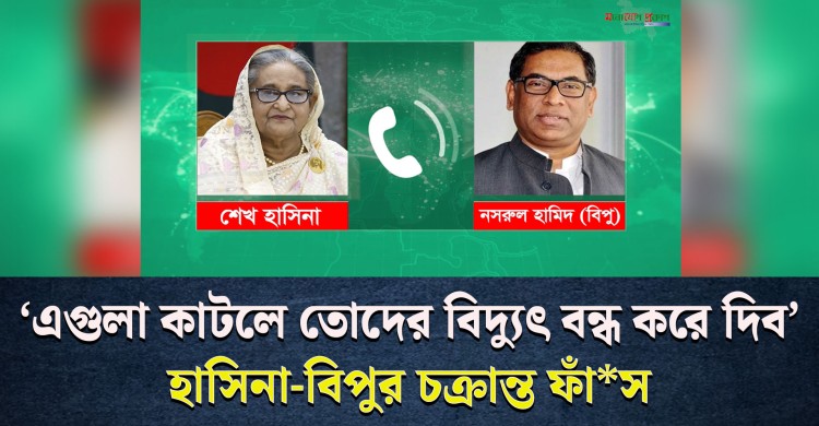 বিদ্যুৎ বন্ধ রাখার চ*ক্রান্তে শেখ হাসিনা-বিপুর নাম উঠে এলো