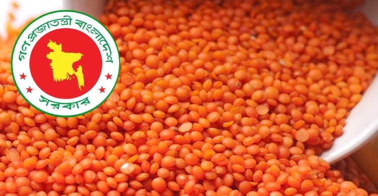৭২ কোটি টাকার মসুর ডাল কিনছে সরকার