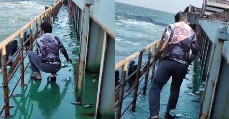 গভীর সমুদ্রে জাহাজে লাফিয়ে উঠল ৩ মণ ইলিশ, ভিডিও ভাইরাল