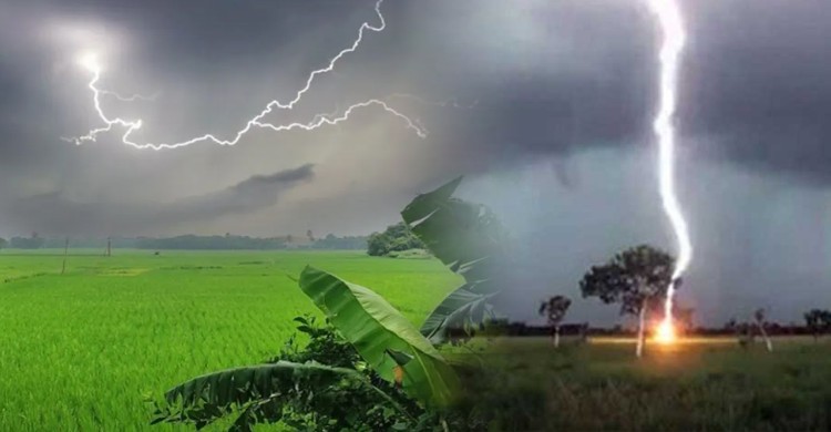 মৌলভীবাজারে বজ্রপাতে কৃষকসহ দুজনের মৃত্যু