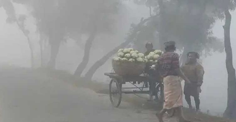 ৪৪ জেলায় বইছে শৈত্যপ্রবাহ, জেনে নিন কতদিন থাকবে
