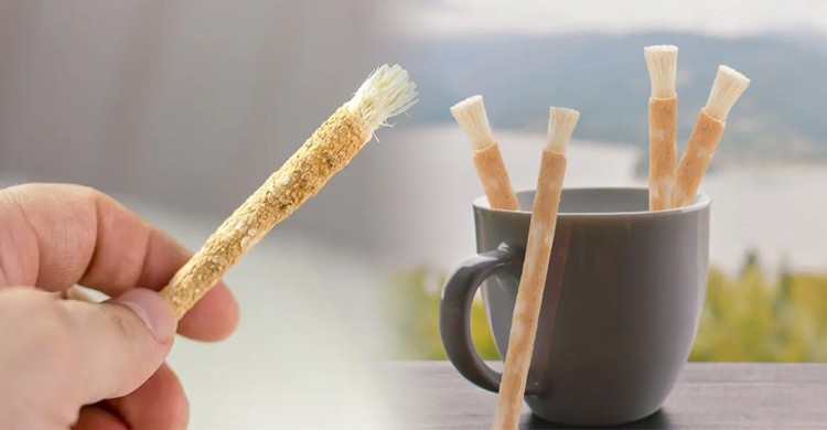 মিসওয়াকের সুন্নত পদ্ধতি ও ২৪ উপকারিতা